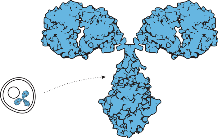 Intro to Biosimilars