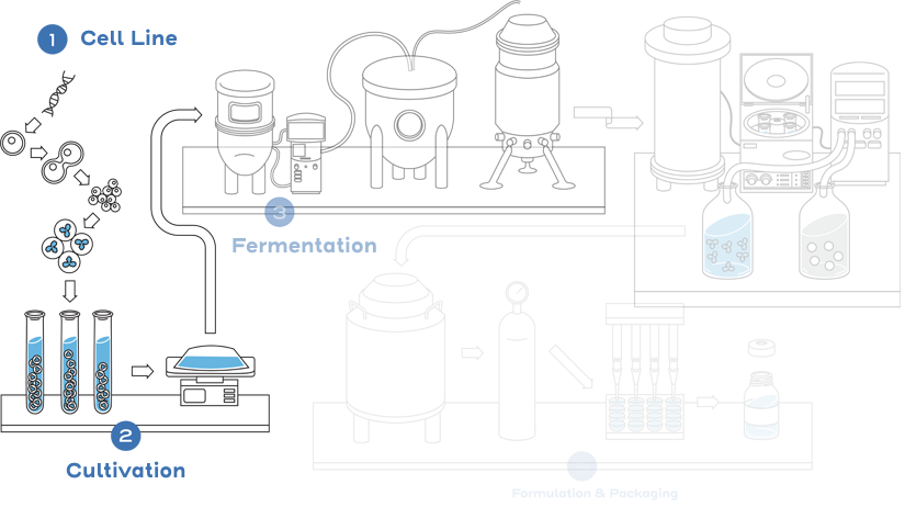 The nature of biological drugs