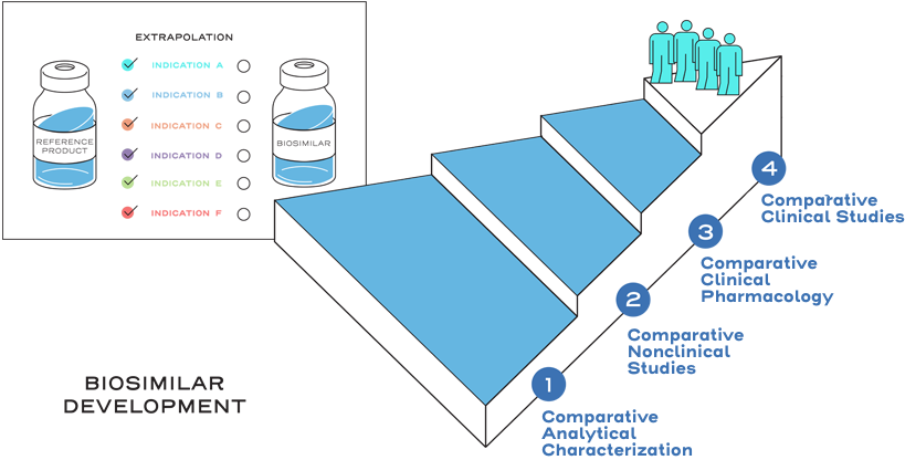 The biosimilar