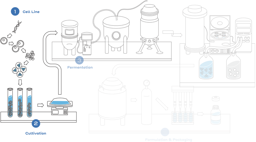 The nature of biological drugs