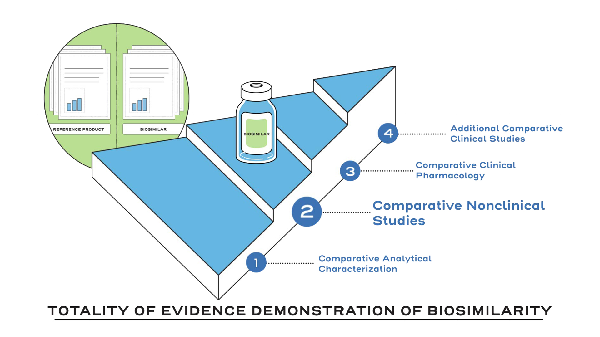 Subsequent comparative nonclinical