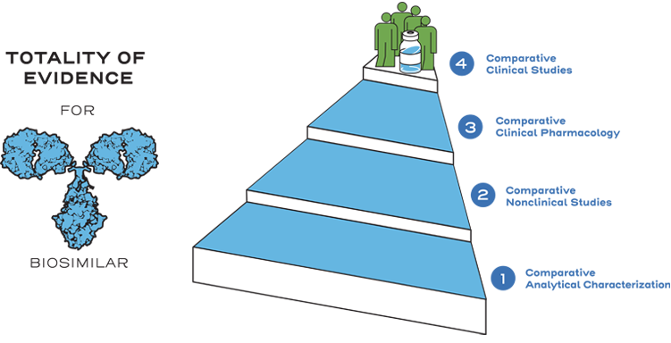 Development process