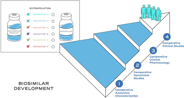 The biosimilar